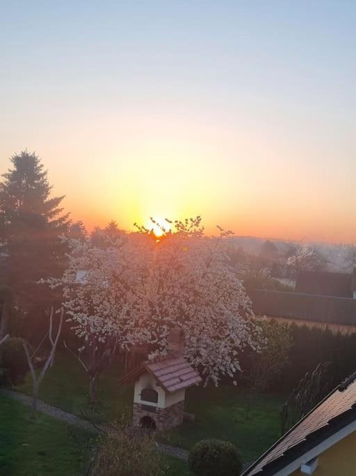 Ferienwohnung *Zur Weinbergstrasse* Lauta Экстерьер фото