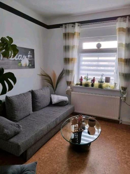 Ferienwohnung *Zur Weinbergstrasse* Lauta Экстерьер фото