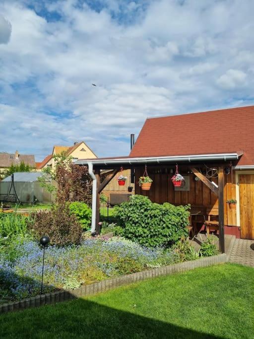 Ferienwohnung *Zur Weinbergstrasse* Lauta Экстерьер фото