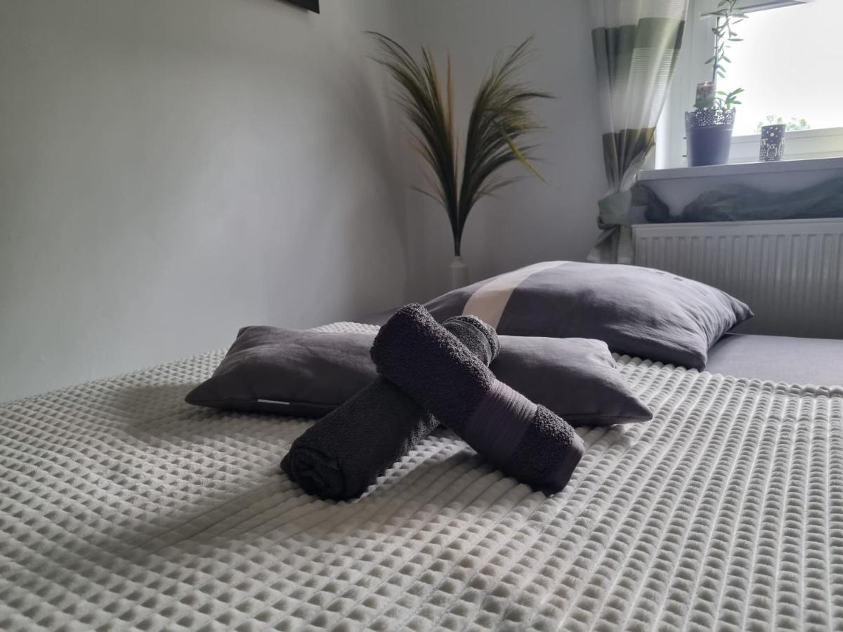 Ferienwohnung *Zur Weinbergstrasse* Lauta Экстерьер фото