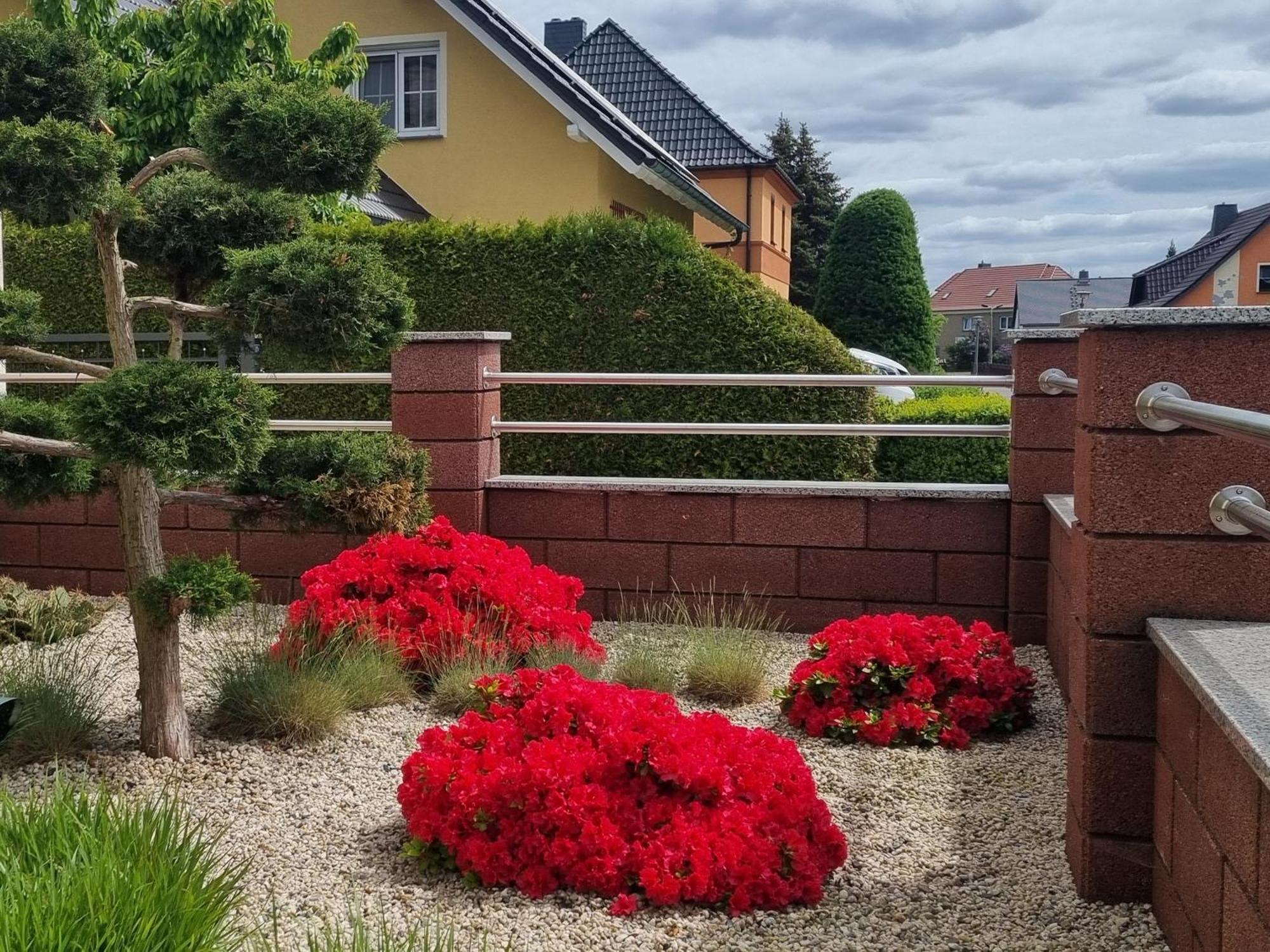 Ferienwohnung *Zur Weinbergstrasse* Lauta Экстерьер фото